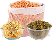 dals-pulses-cat.png